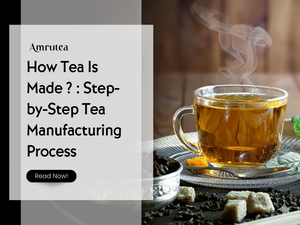 How Tea Is Made ? : Step-by-Step Tea Manufacturing Process | Amrutea