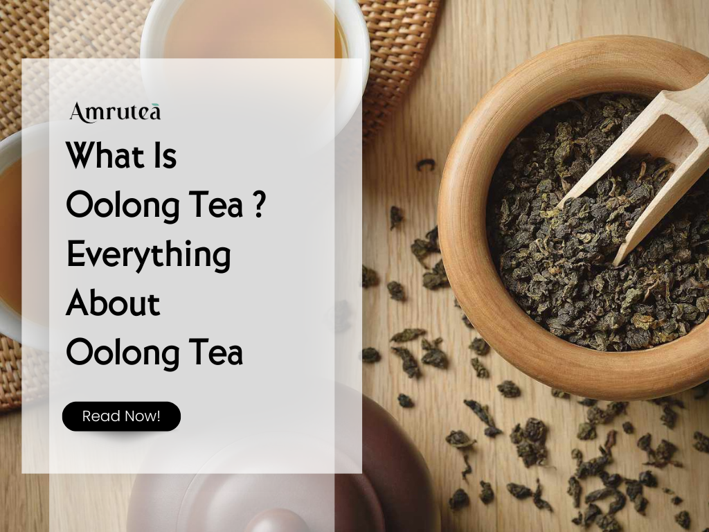 What Is Oolong Tea ? Everything About Oolong Tea | Amrutea